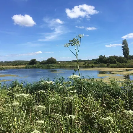 Oostdijk * Goedereede