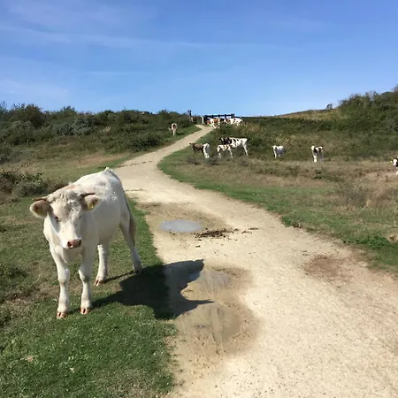 Oostdijk Goedereede