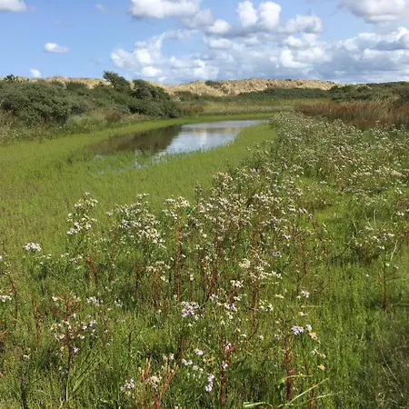 公寓 Oostdijk
