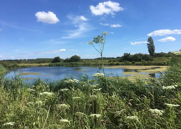 Oostdijk * Goedereede