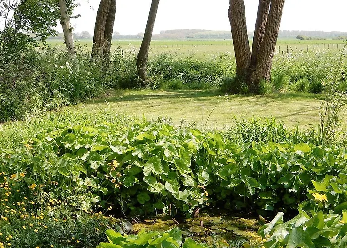 Apartment Oostdijk Goedereede