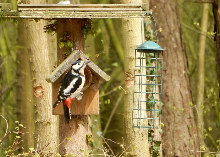 Apartament Oostdijk Goedereede