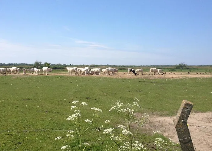 Apartament Oostdijk Goedereede