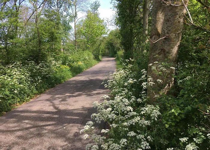 Apartament Oostdijk *